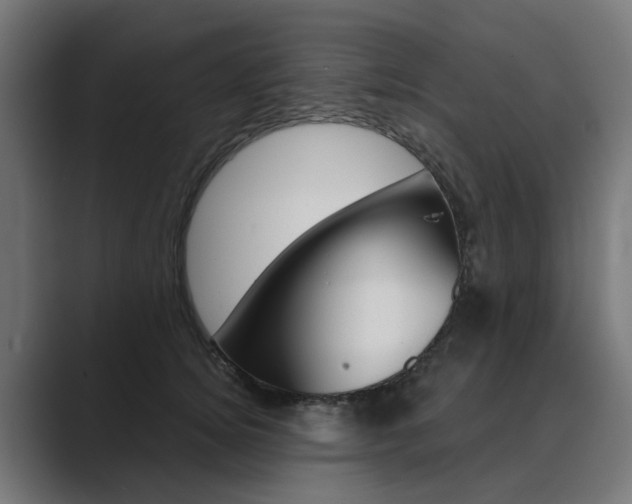 X0000089970756200706291104