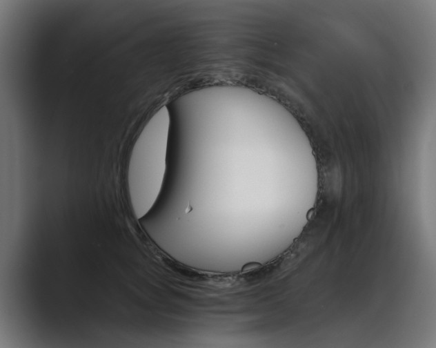 X0000089970757200706291104