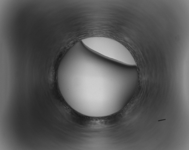 X0000089970760200706291104