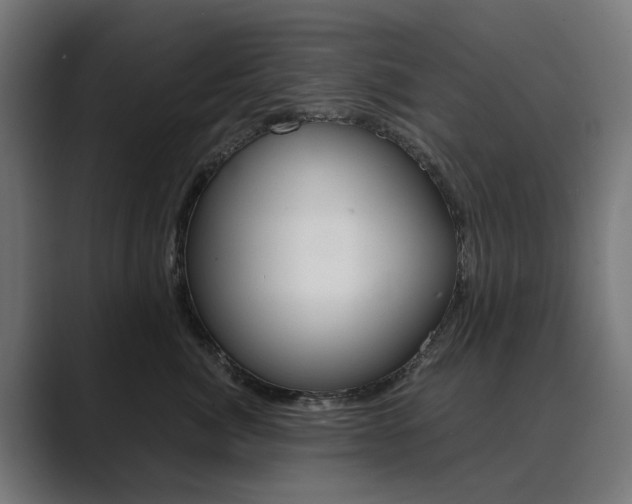 X0000089970764200706291104