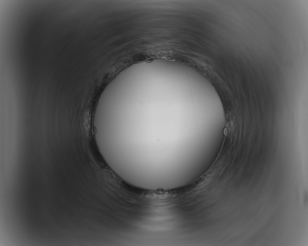 X0000089970767200706291104