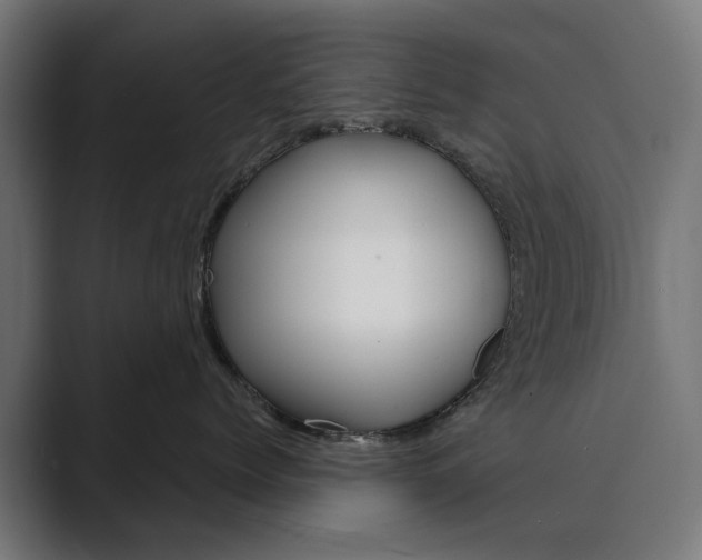 X0000089970768200706291104