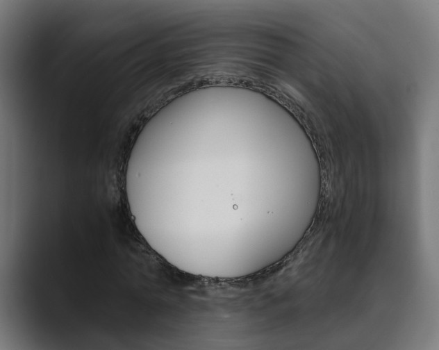 X0000089970774200706291104
