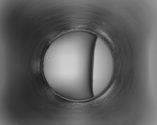 X0000089970777200706291103