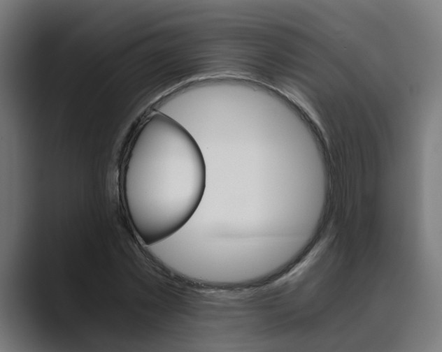X0000089970781200706291103