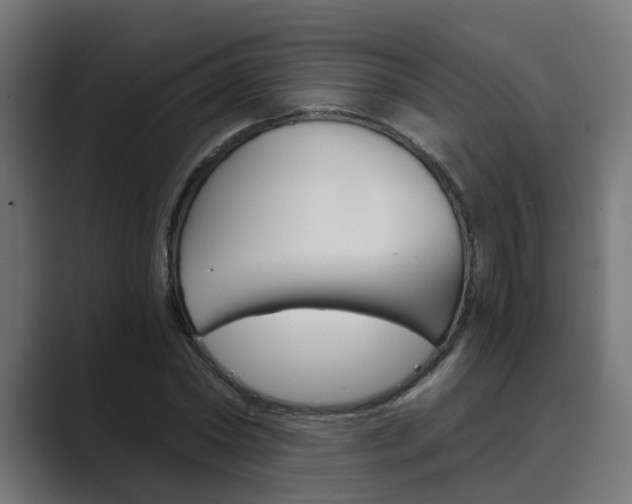 X0000089970782200706291103