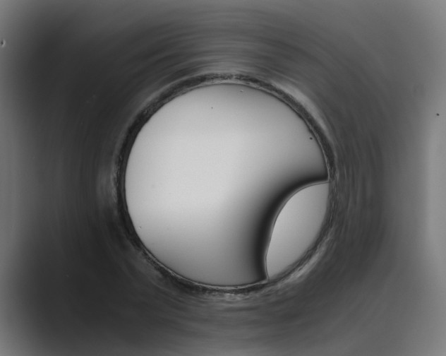 X0000089970783200706291103