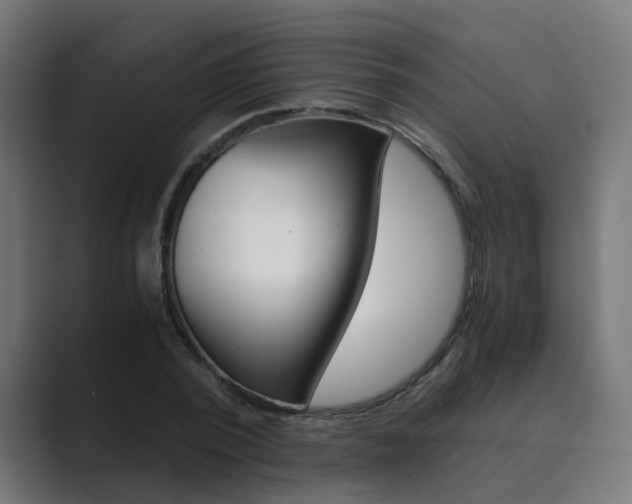 X0000089970784200706291103