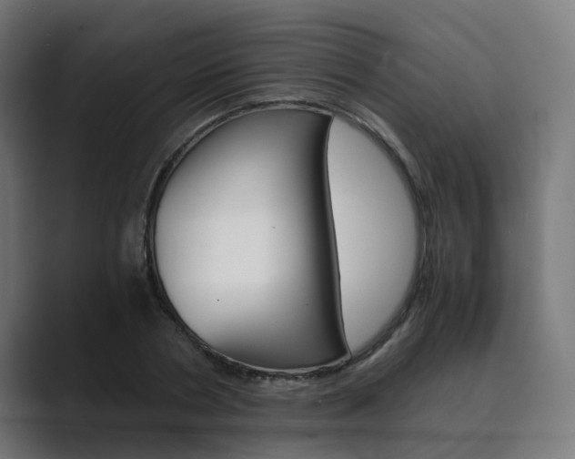 X0000089970786200706291103