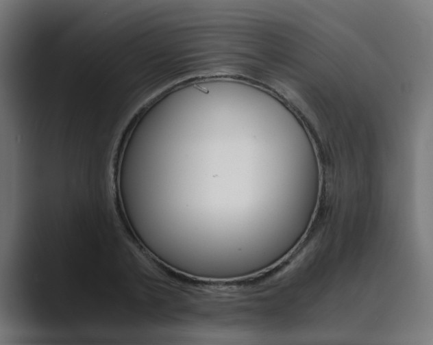 X0000089970789200706291103