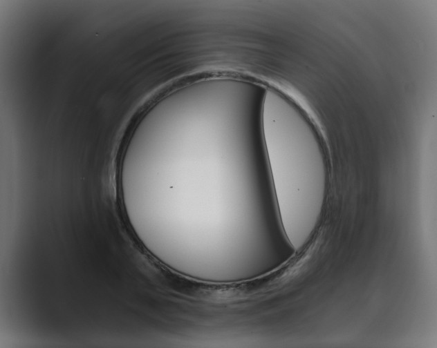 X0000089970791200706291103