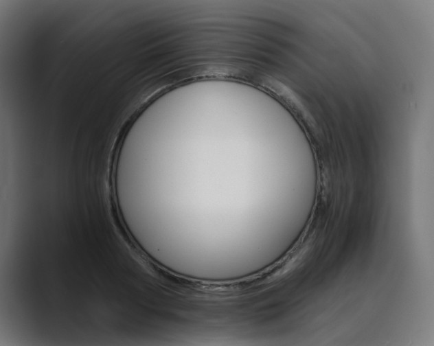 X0000089970794200706291103