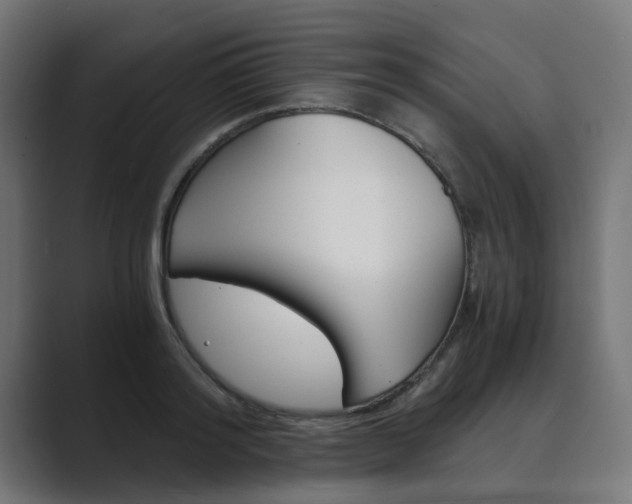 X0000089970796200706291103