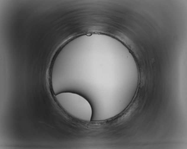 X0000089970798200706291103