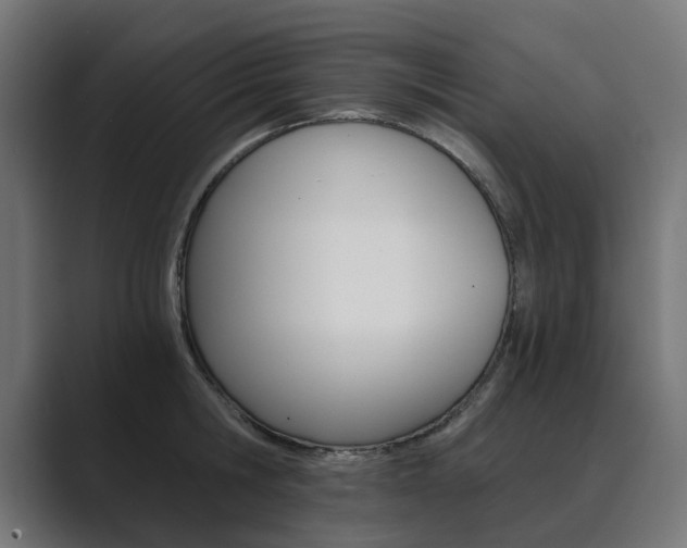 X0000089970806200706291103