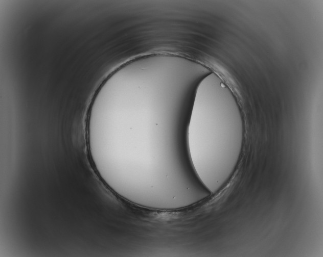 X0000089970808200706291103