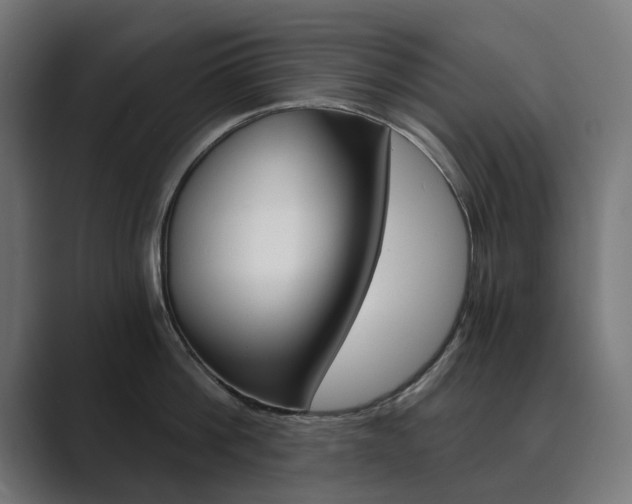 X0000089970812200706291103