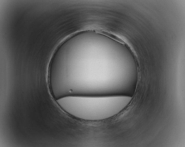 X0000089970815200706291103