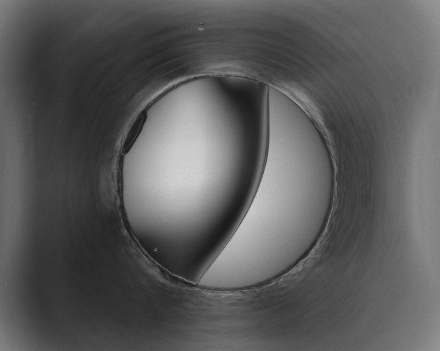 X0000089970816200706291103