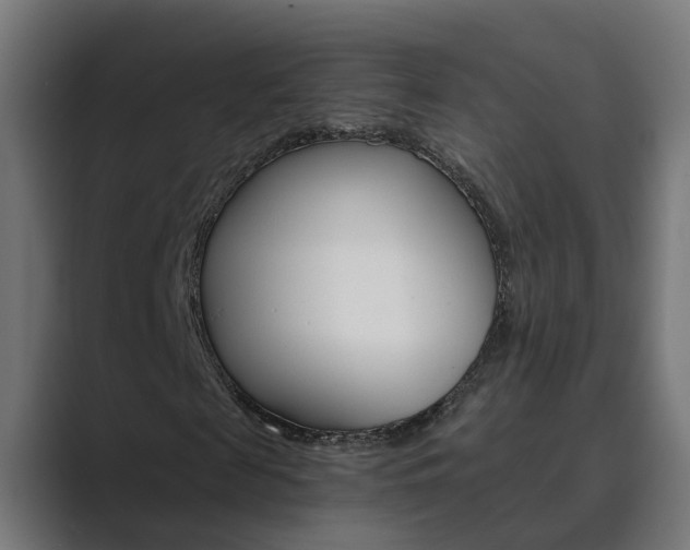 X0000089970817200706291102
