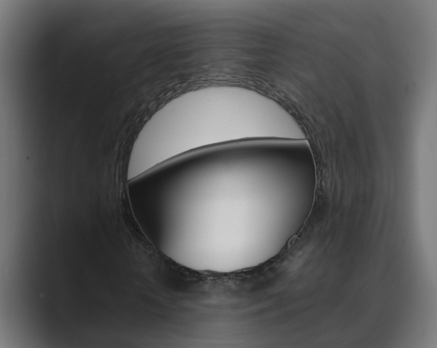 X0000089970818200706291102