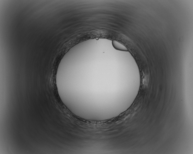 X0000089970819200706291102