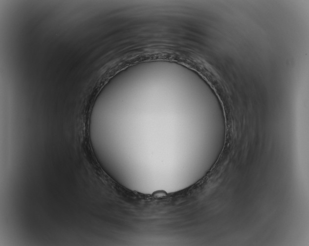 X0000089970821200706291103