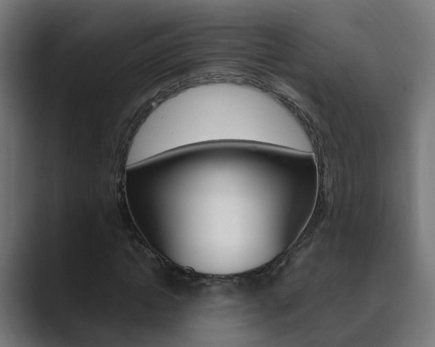 X0000089970822200706291103