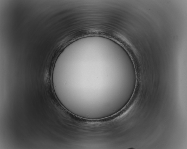 X0000089970825200706291103