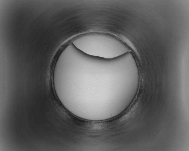X0000089970831200706291103
