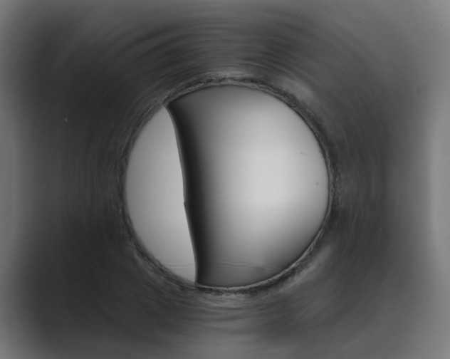 X0000089970833200706291103