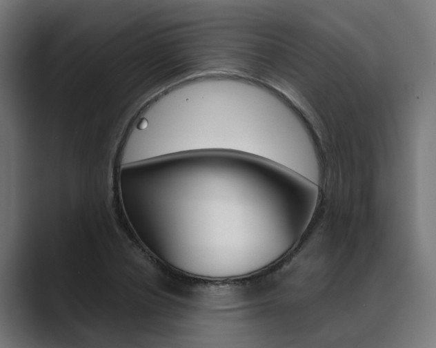 X0000089970834200706291103