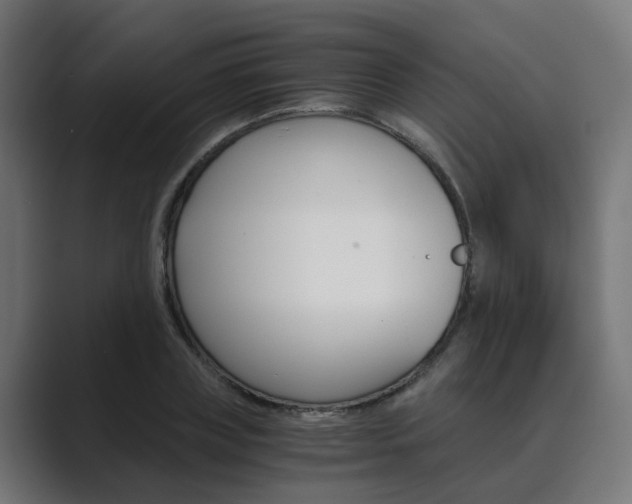 X0000089970835200706291103