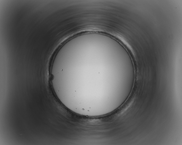 X0000089970837200706291103
