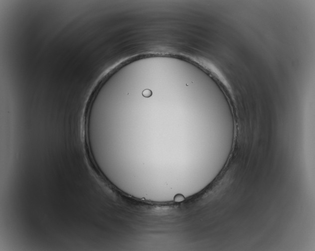X0000089970839200706291103