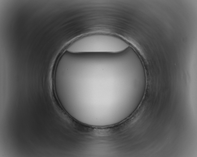 X0000089970840200706291103
