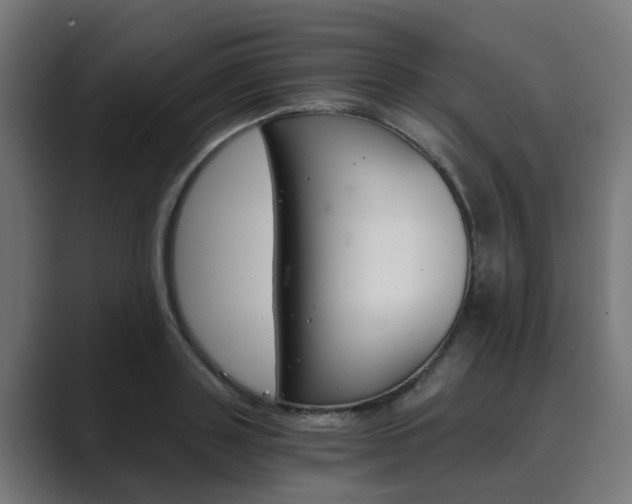 X0000089970843200706291103