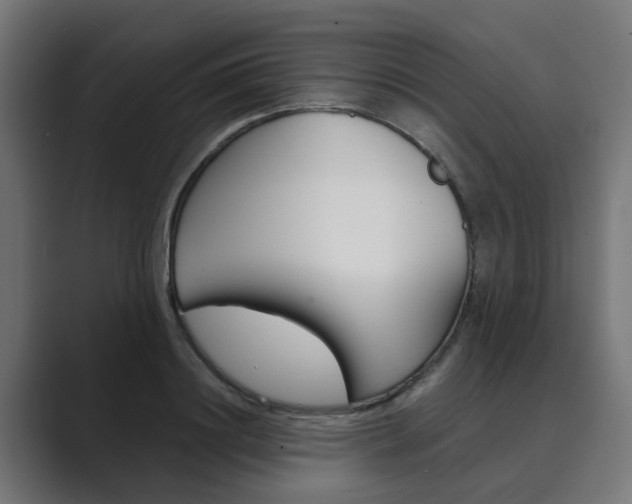 X0000089970844200706291103