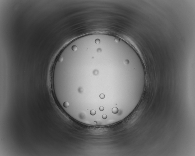 X0000089970851200706291103