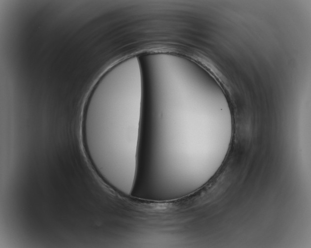 X0000089970853200706291103