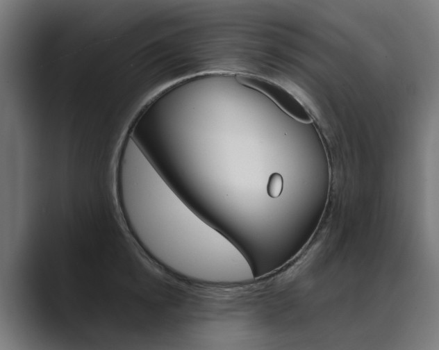 X0000089970854200706291103