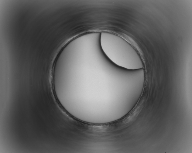 X0000089970855200706291103