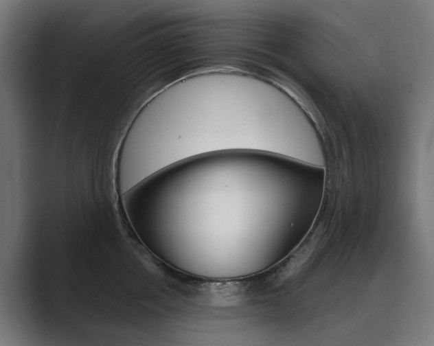 X0000089970858200706291103