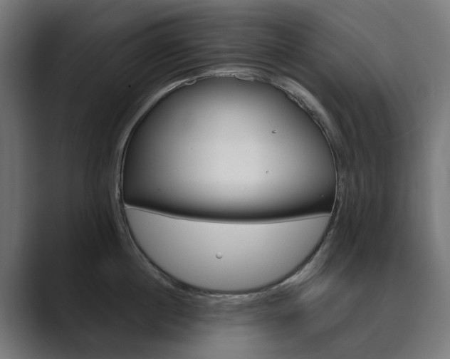 X0000089970860200706291103