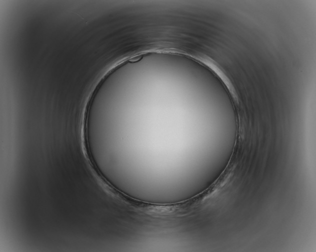X0000089970861200706291103