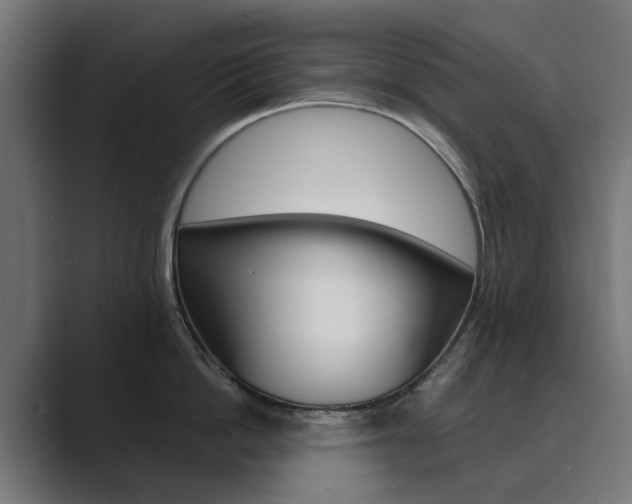 X0000089970862200706291103