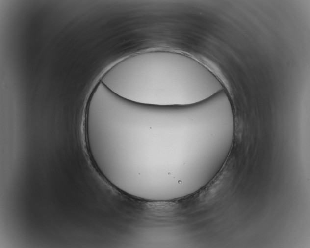 X0000089970863200706291103