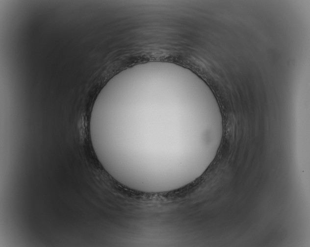 X0000089970866200706291102