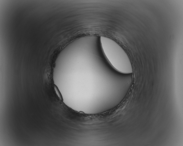 X0000089970867200706291102