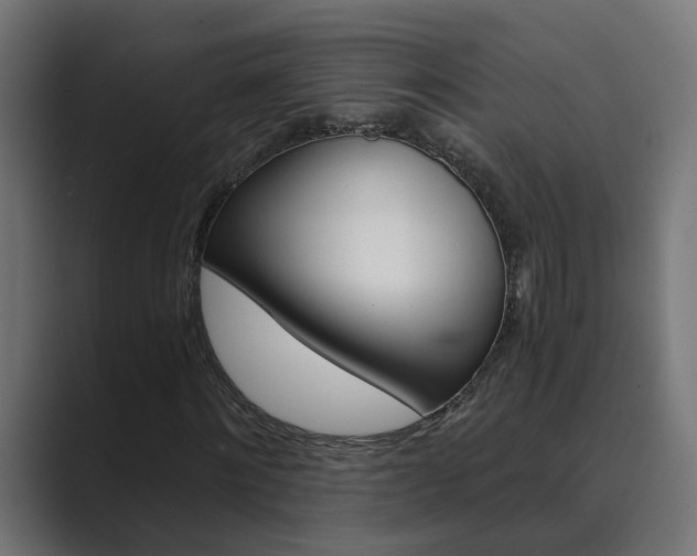 X0000089970868200706291102